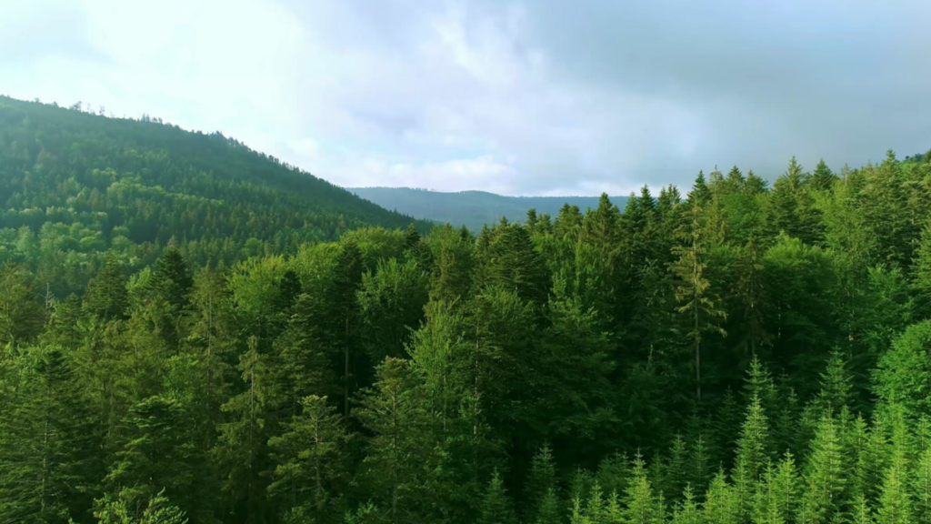 Projekt-bez-tytułu-2-1024×576